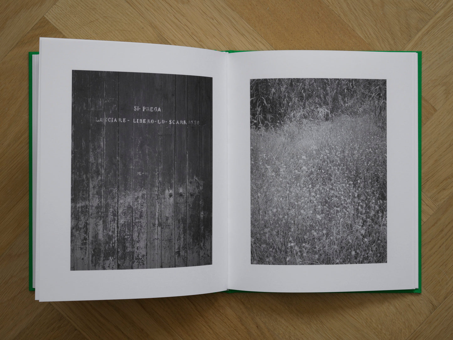 Fiat Panda and the Shadows [Signed]
