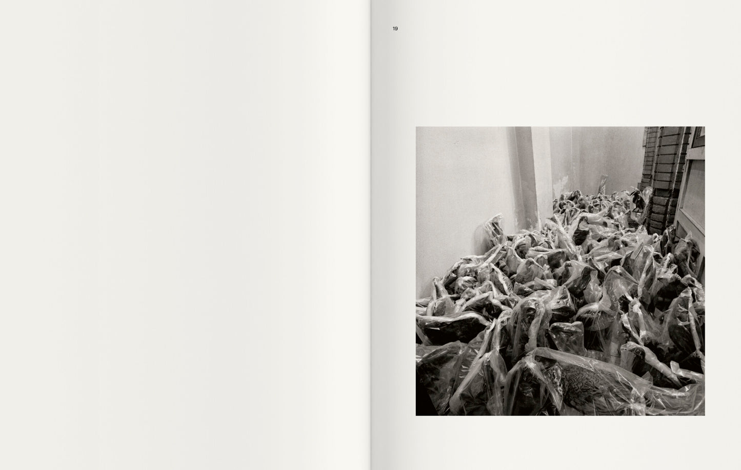 Contravisiones [Signed]
