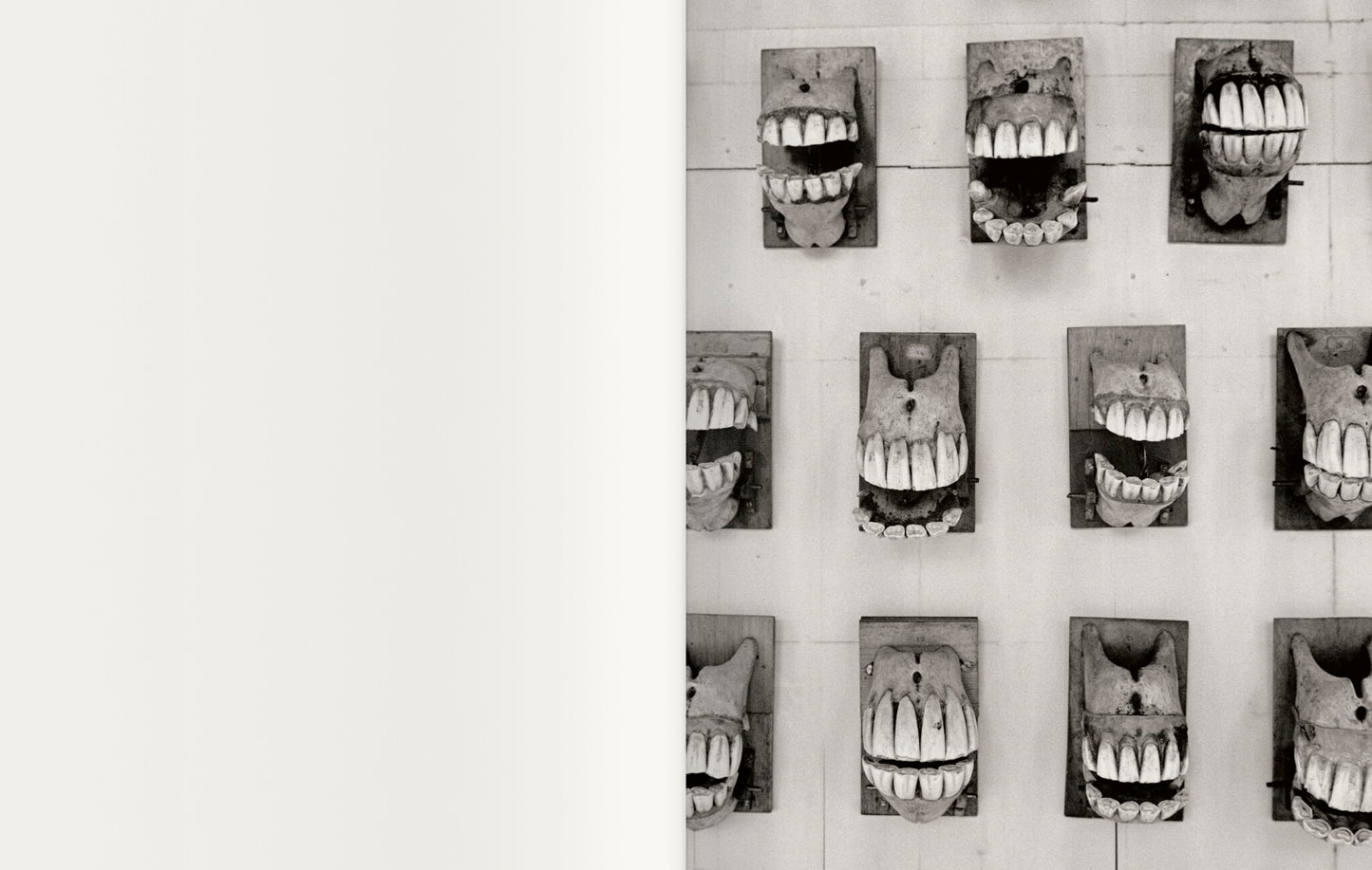 Contravisiones [Signed]