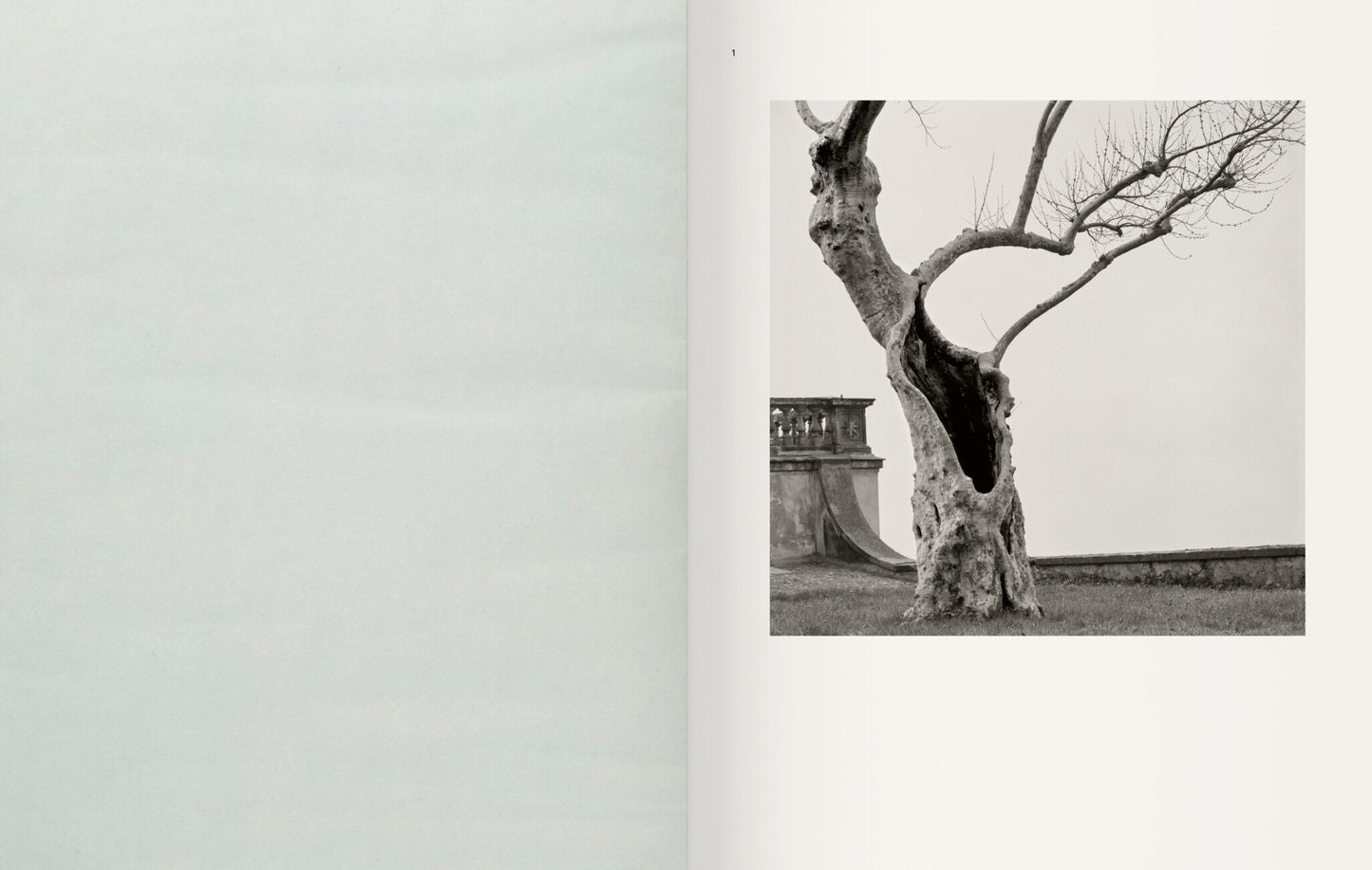 Contravisiones [Signed]