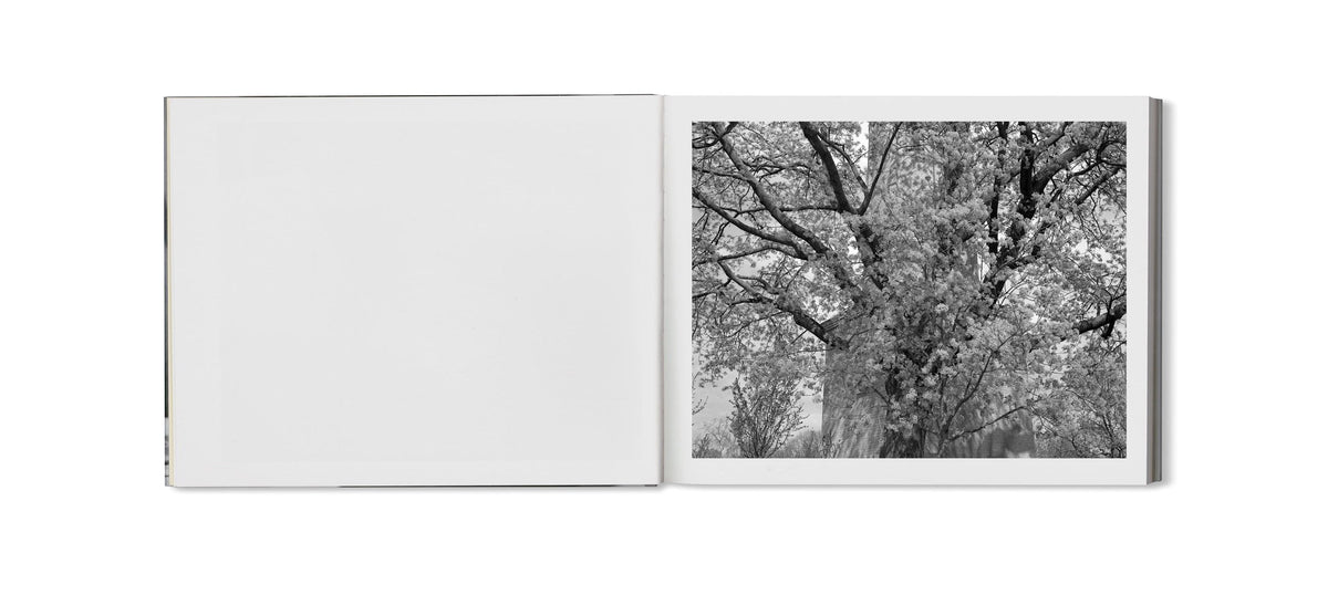 Berlin Pictures [Signed]