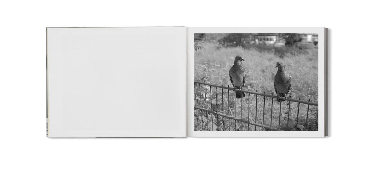 Berlin Pictures [Signed]