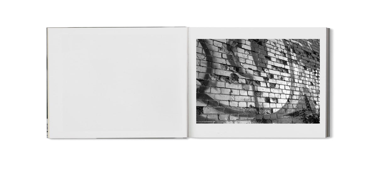 Berlin Pictures [Signed]