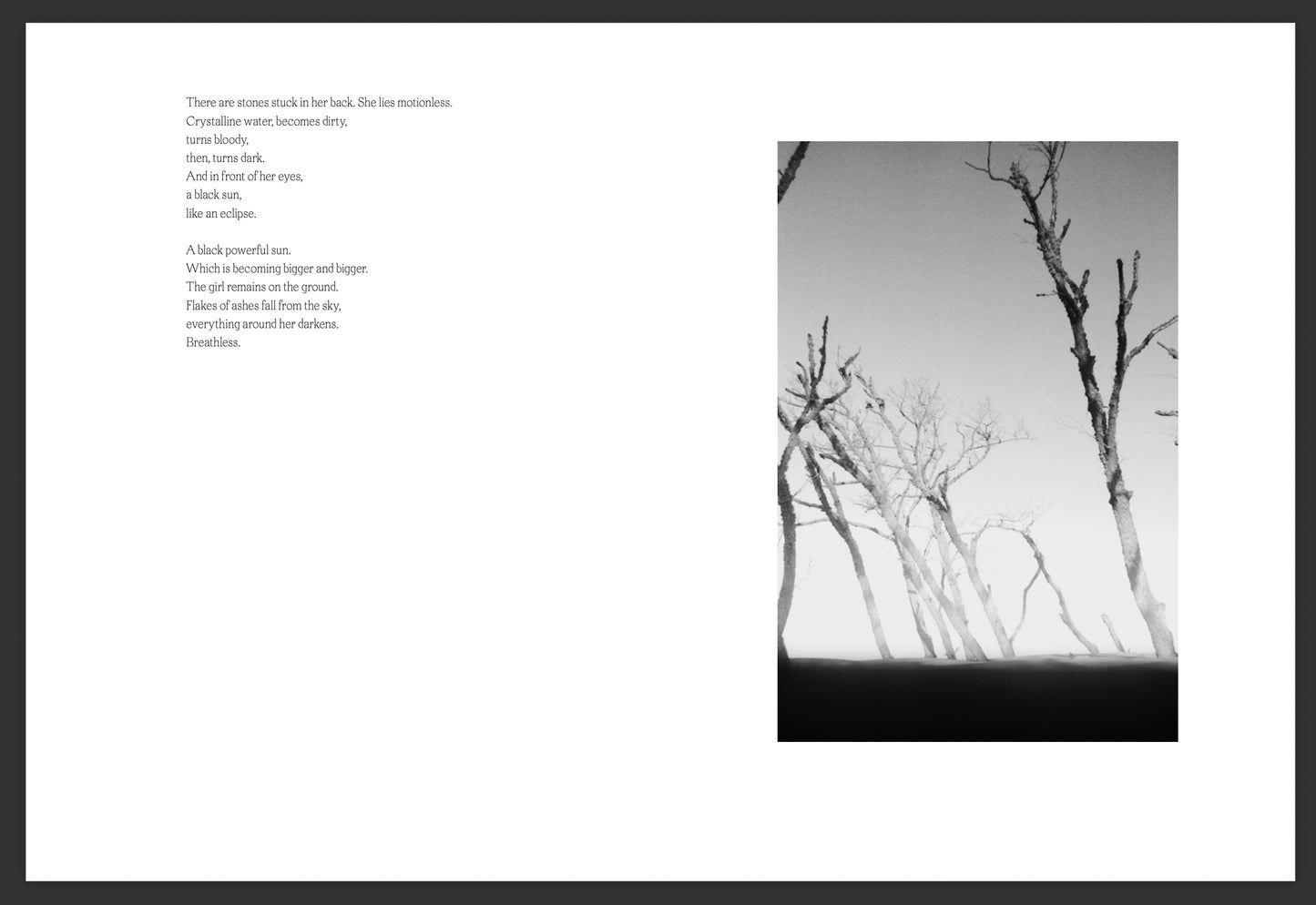 ECHO OF PHOTONS [Signed]