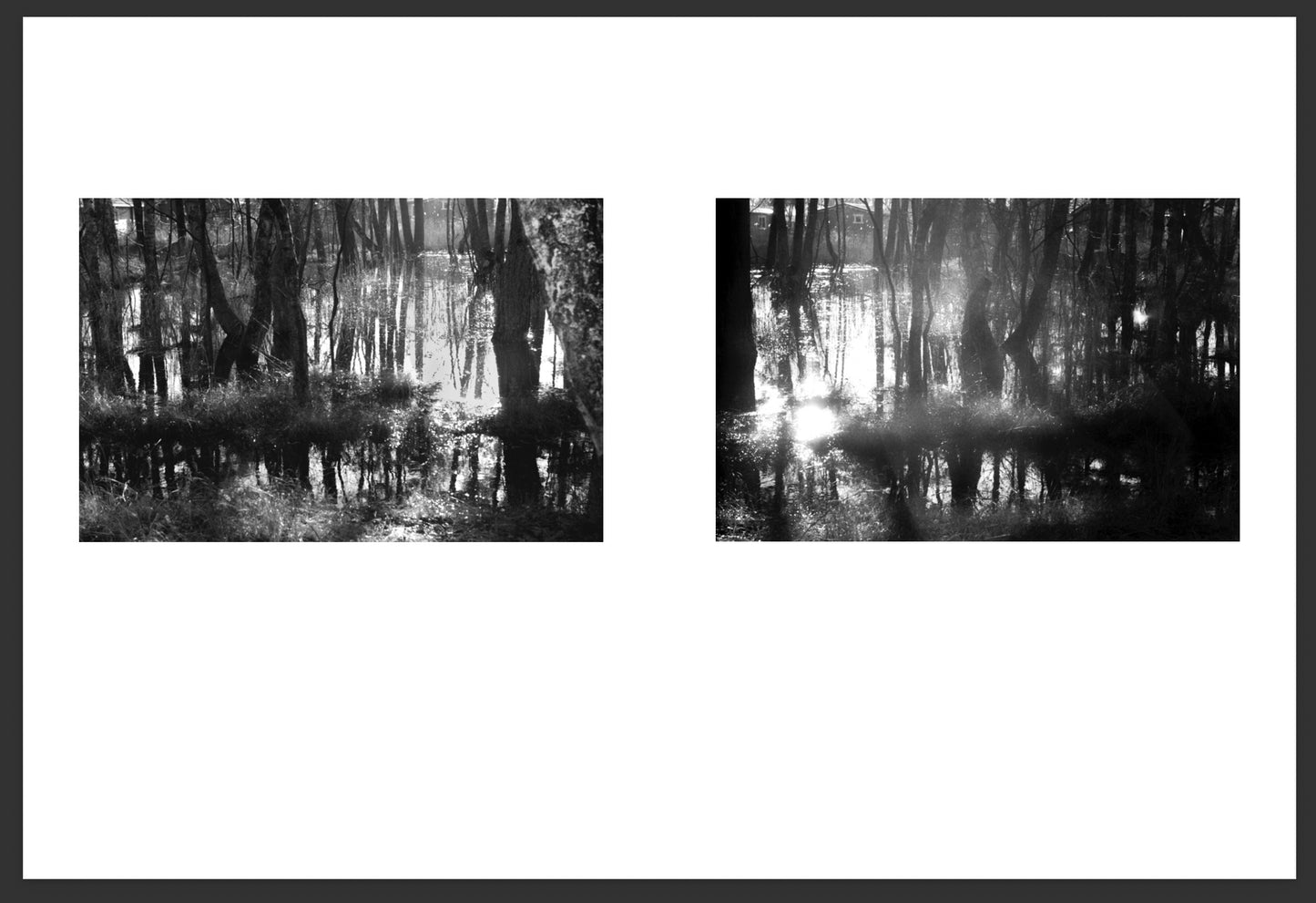 ECHO OF PHOTONS [Signed]