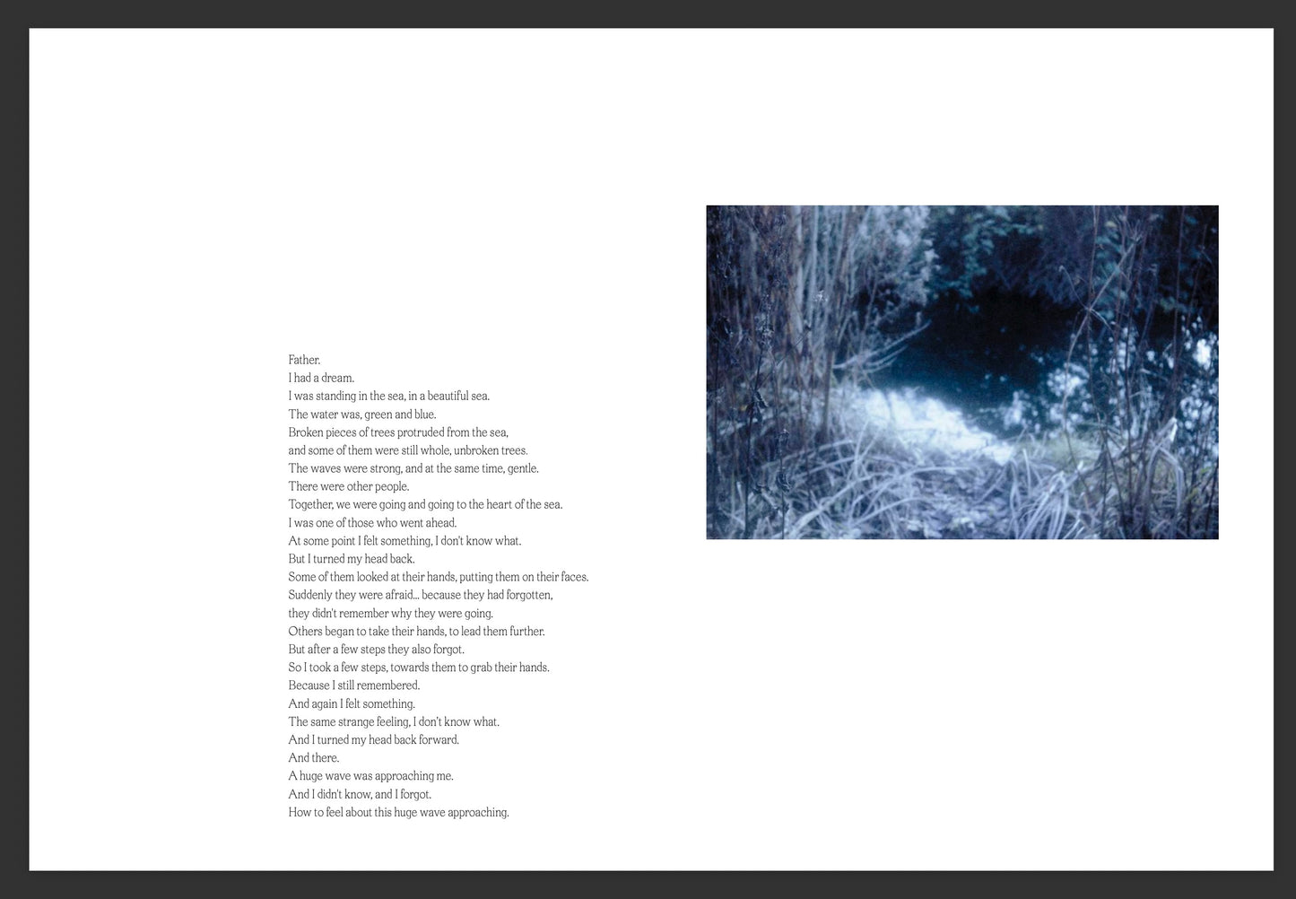 ECHO OF PHOTONS [Signed]
