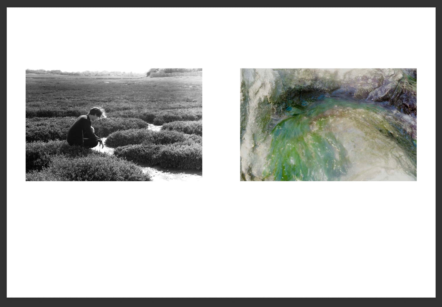 ECHO OF PHOTONS [Signed]
