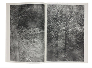 Cloud/Re - signed copy