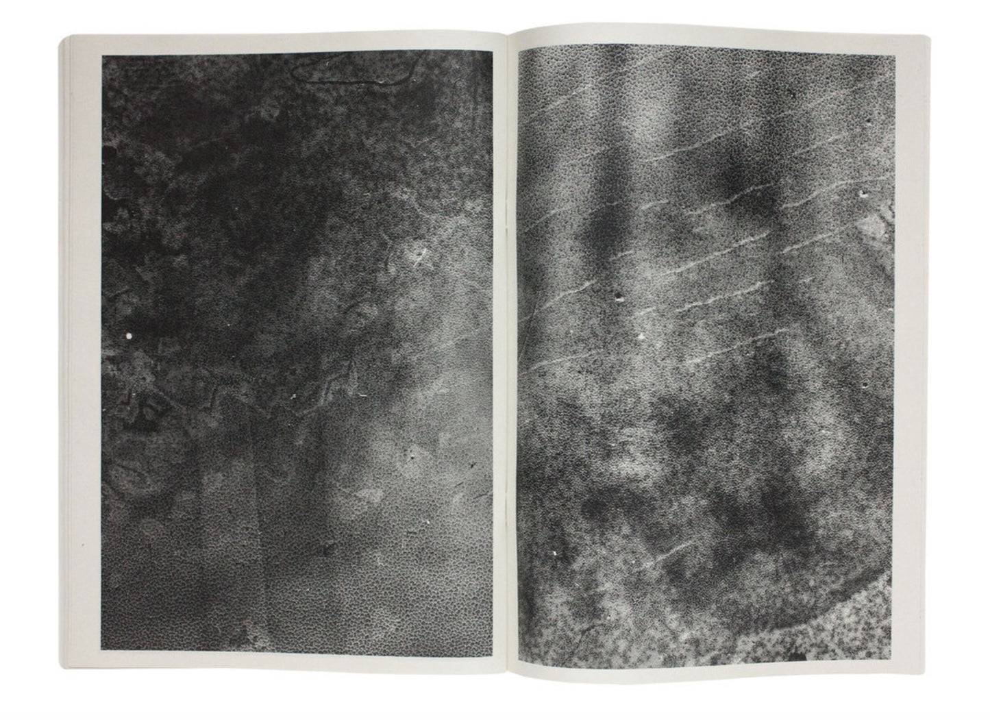 Cloud/Re [Signed]