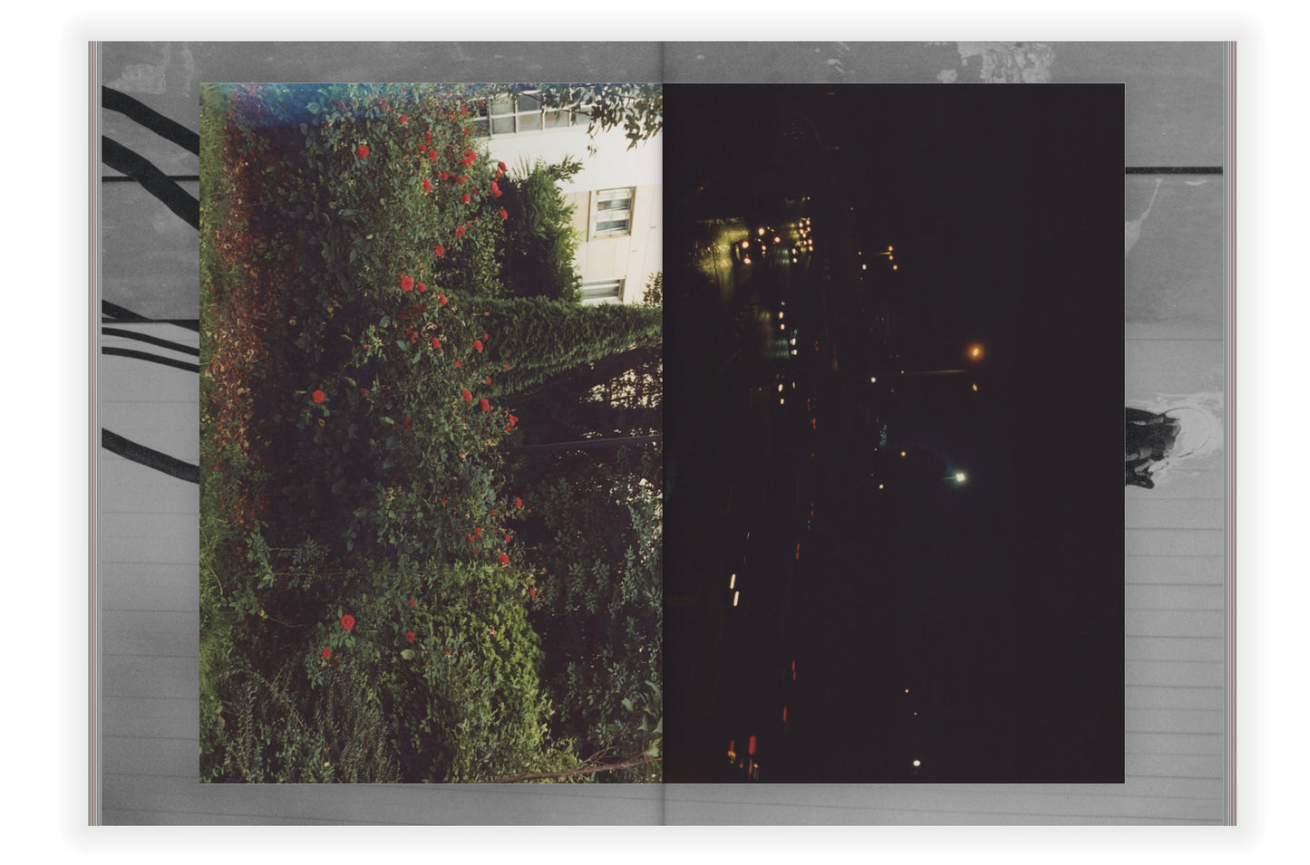 Walk To The Moon [Signed]