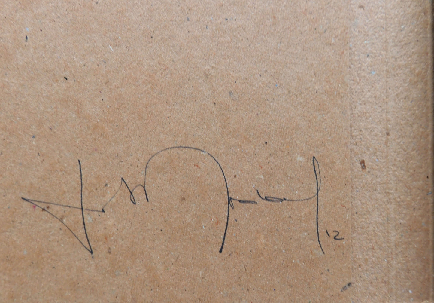 The Afronauts - first edition [Signed]
