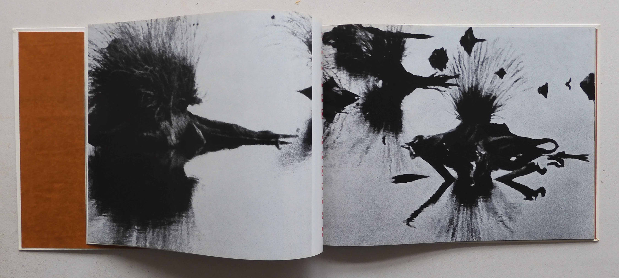 Monsters van de peel,Martien Coppens,First Edition, very good copy ...