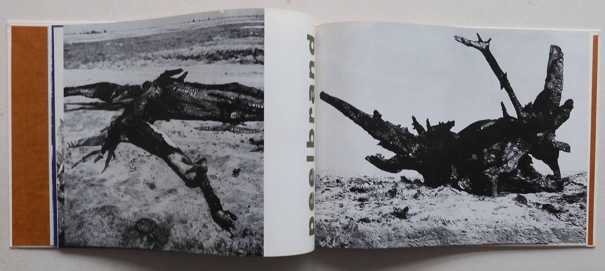 Monsters van de peel,Martien Coppens,First Edition, very good copy ...