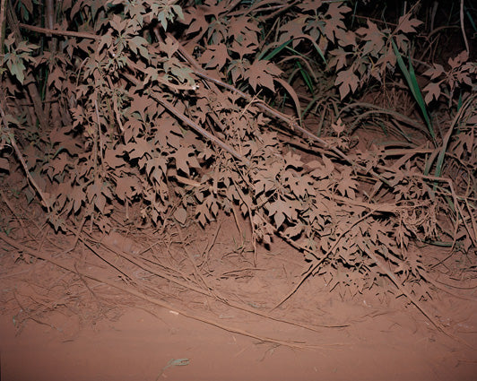 Viviane Sassen • books • Flamboya