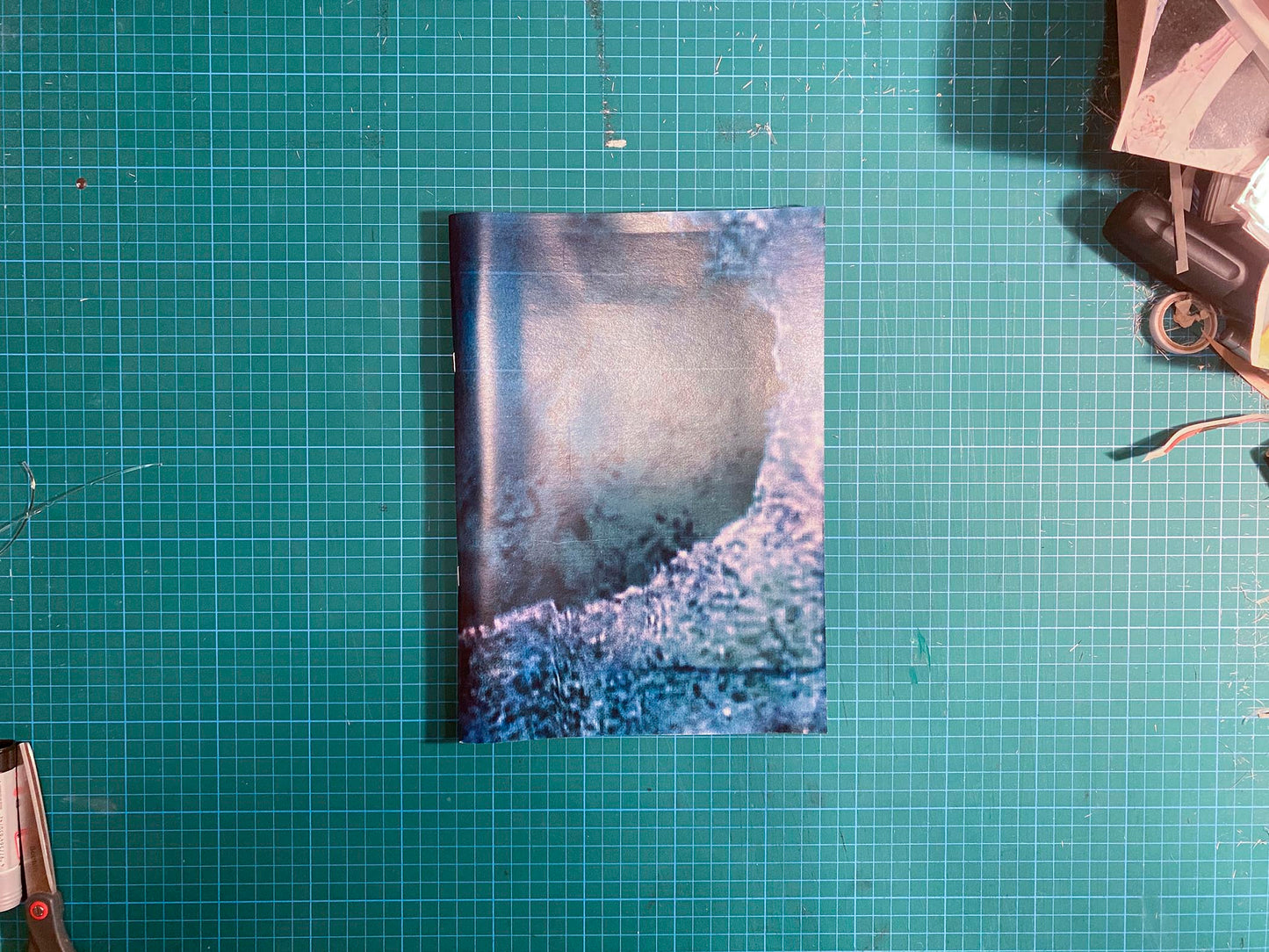 Room/Rabbit [Signed]