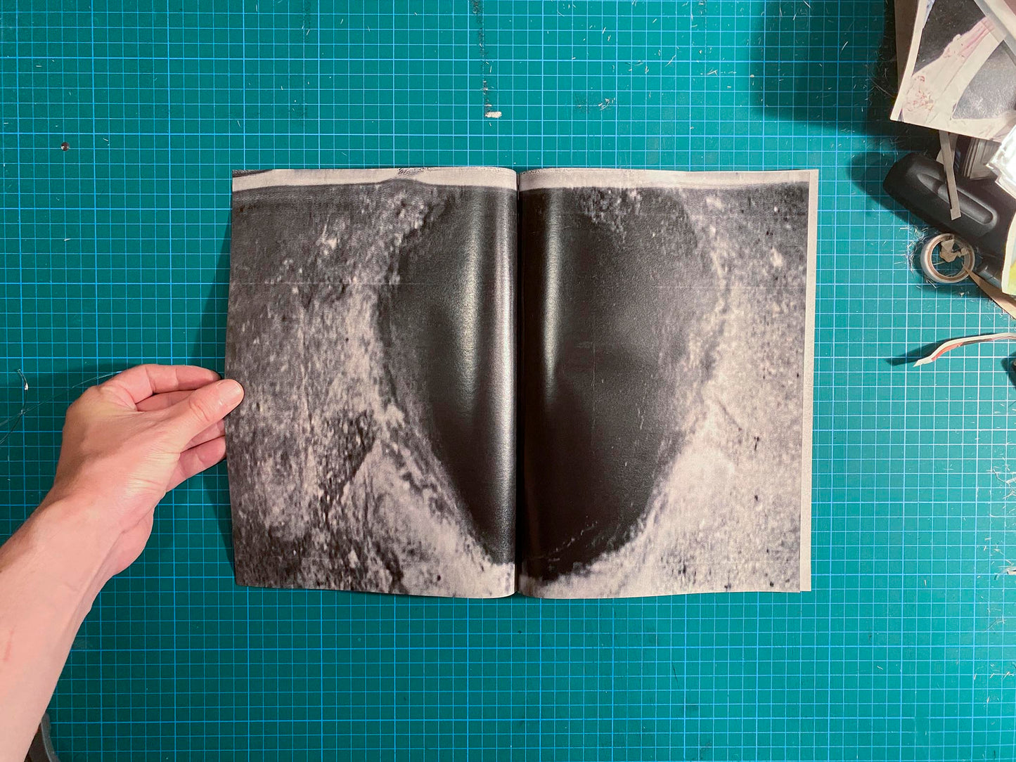 Room/Rabbit [Signed]