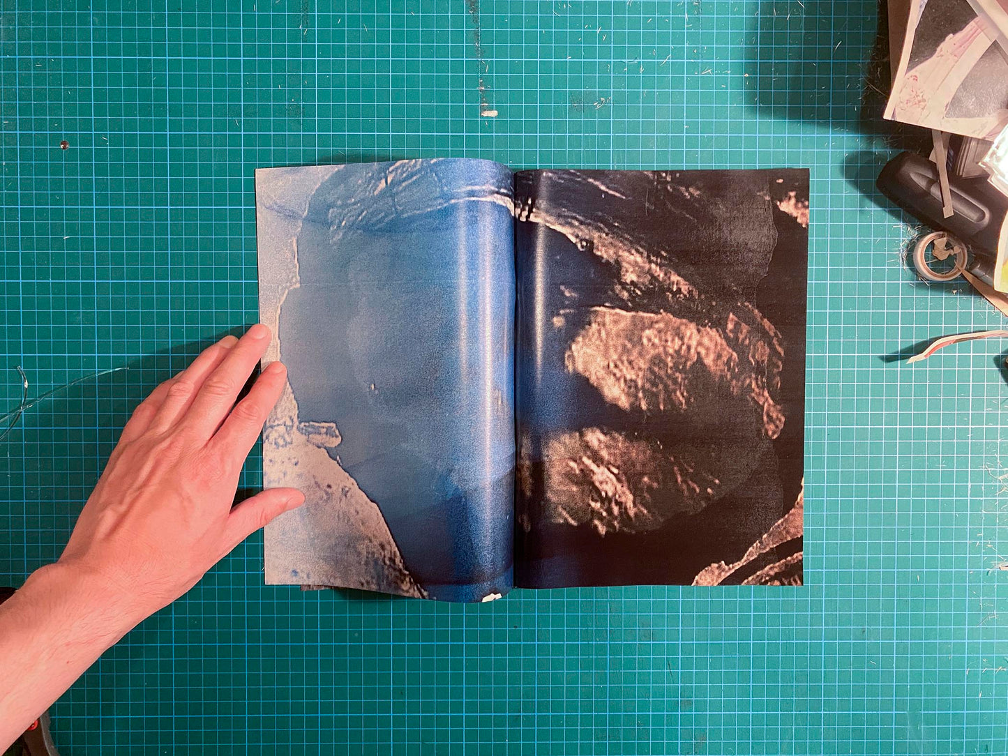 Room/Rabbit [Signed]