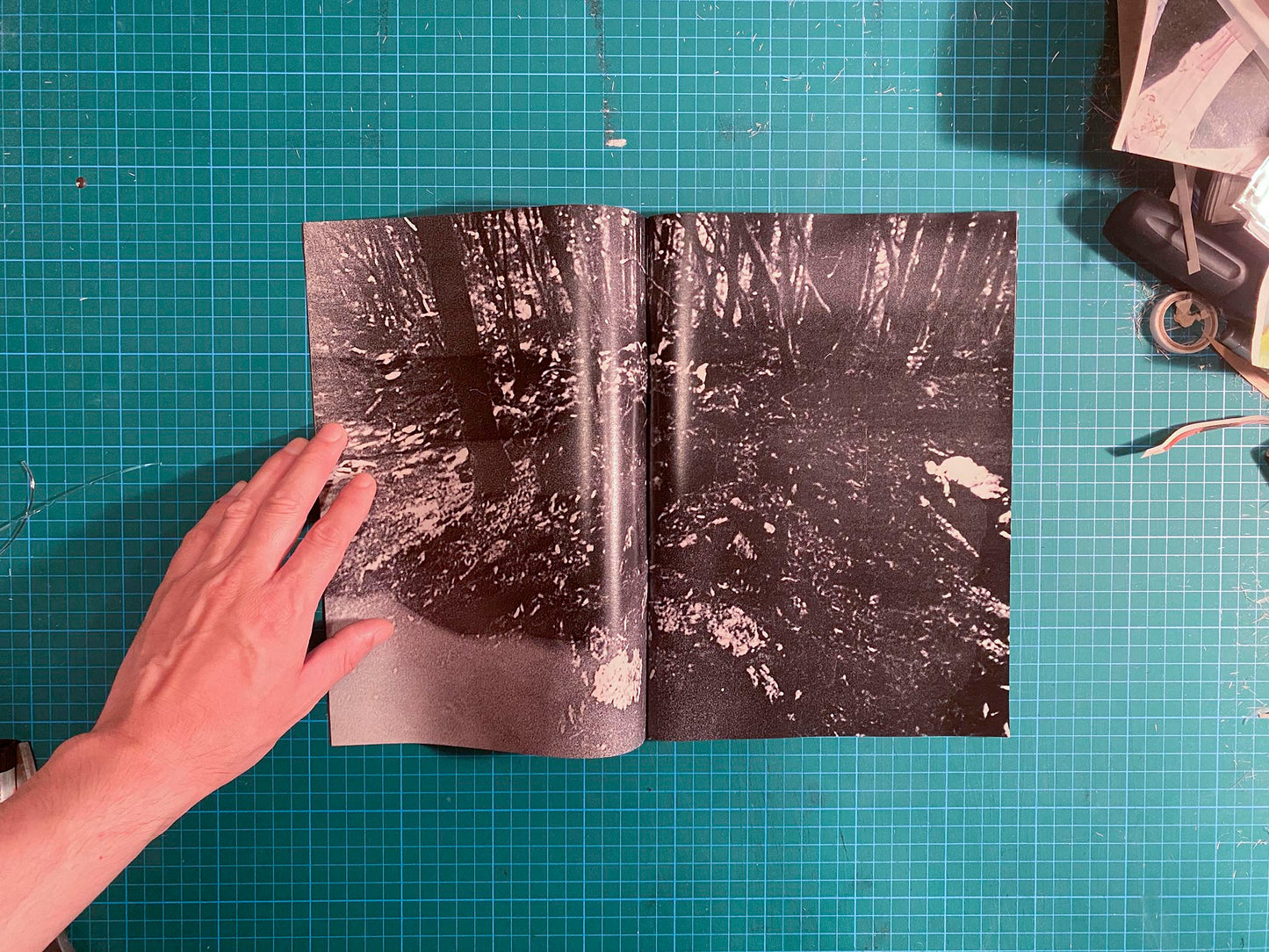 Room/Rabbit [Signed]