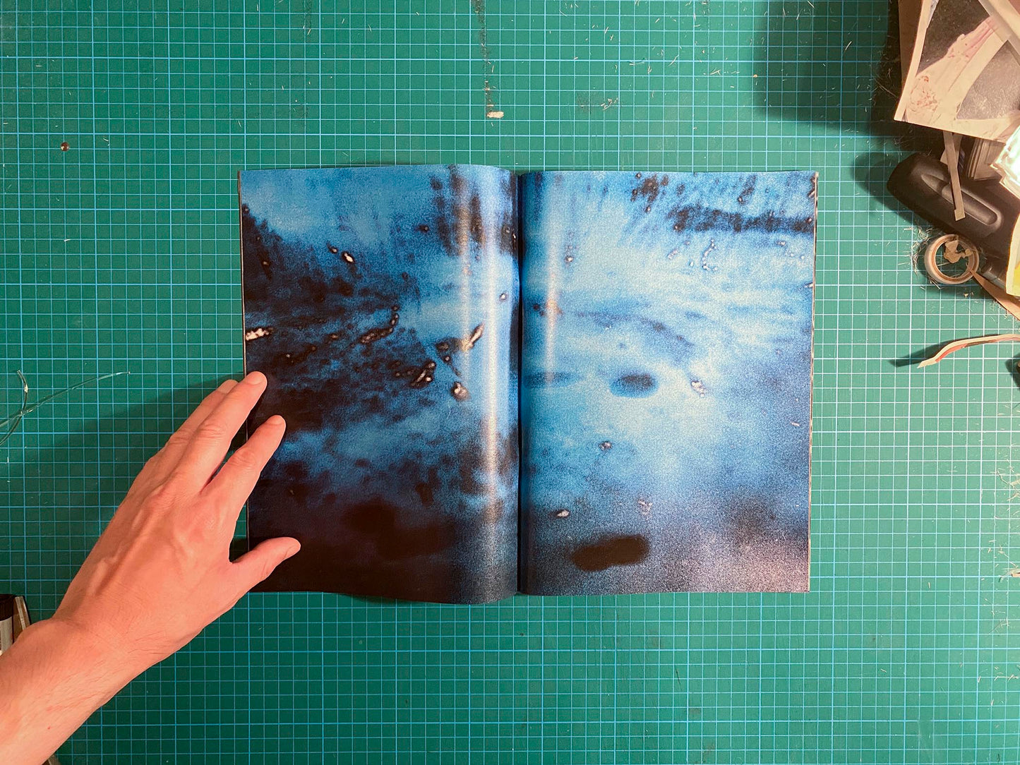Room/Rabbit [Signed]