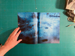 Room/ Rabbit - signed copy