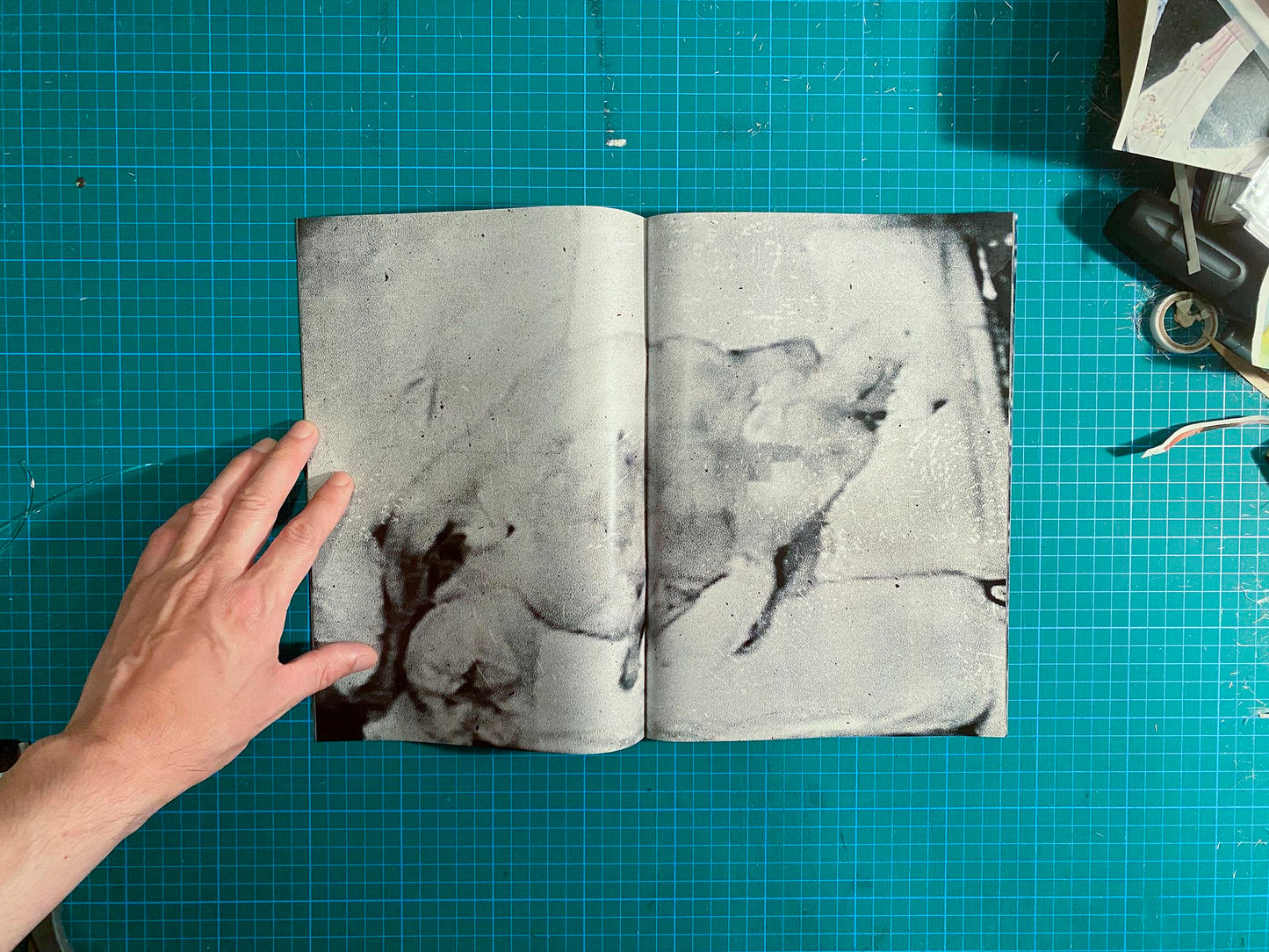 Room/Rabbit [Signed]