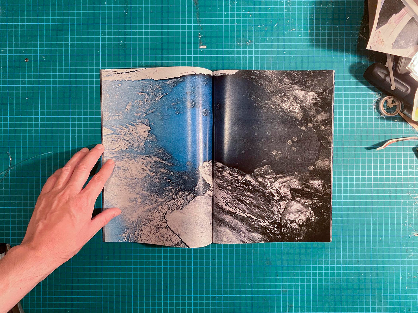 Room/Rabbit [Signed]
