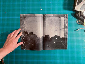 Room/ Rabbit - signed copy