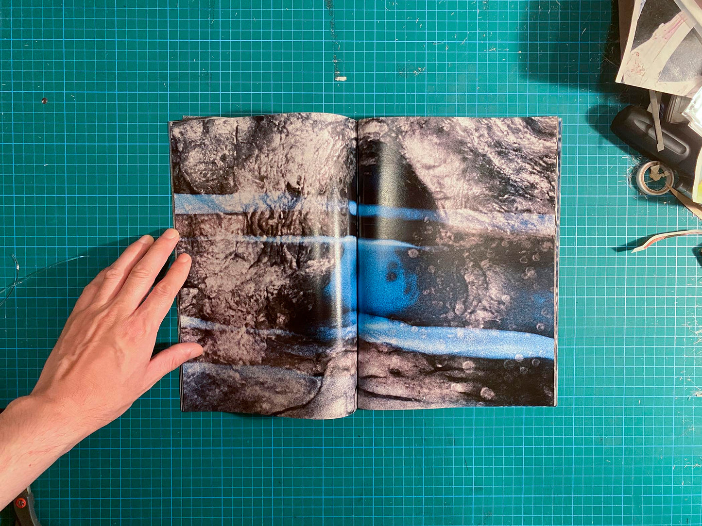 Room/Rabbit [Signed]