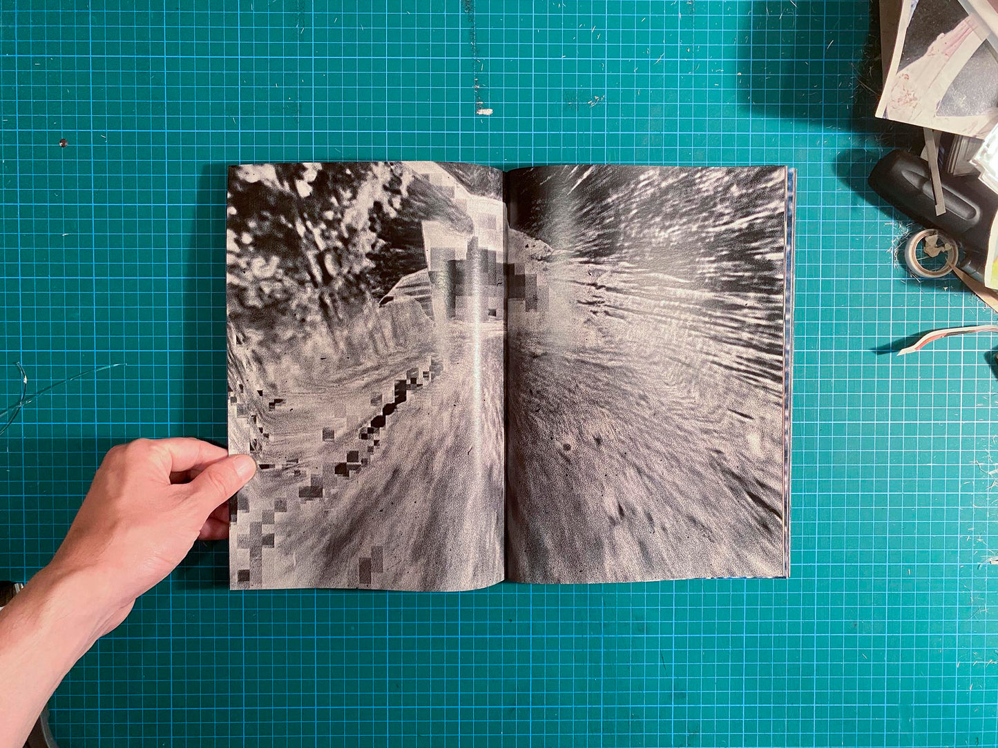 Room/Rabbit [Signed]