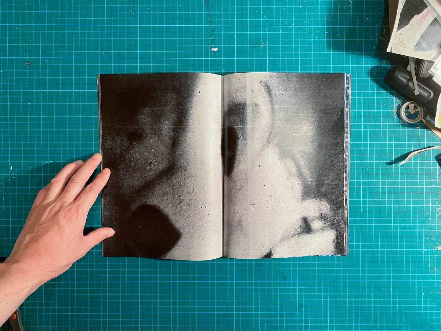 Room/Rabbit [Signed]