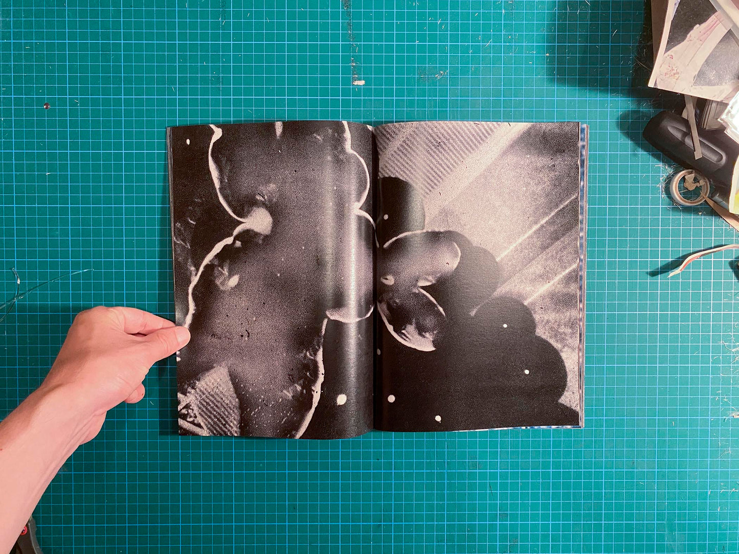 Room/Rabbit [Signed]