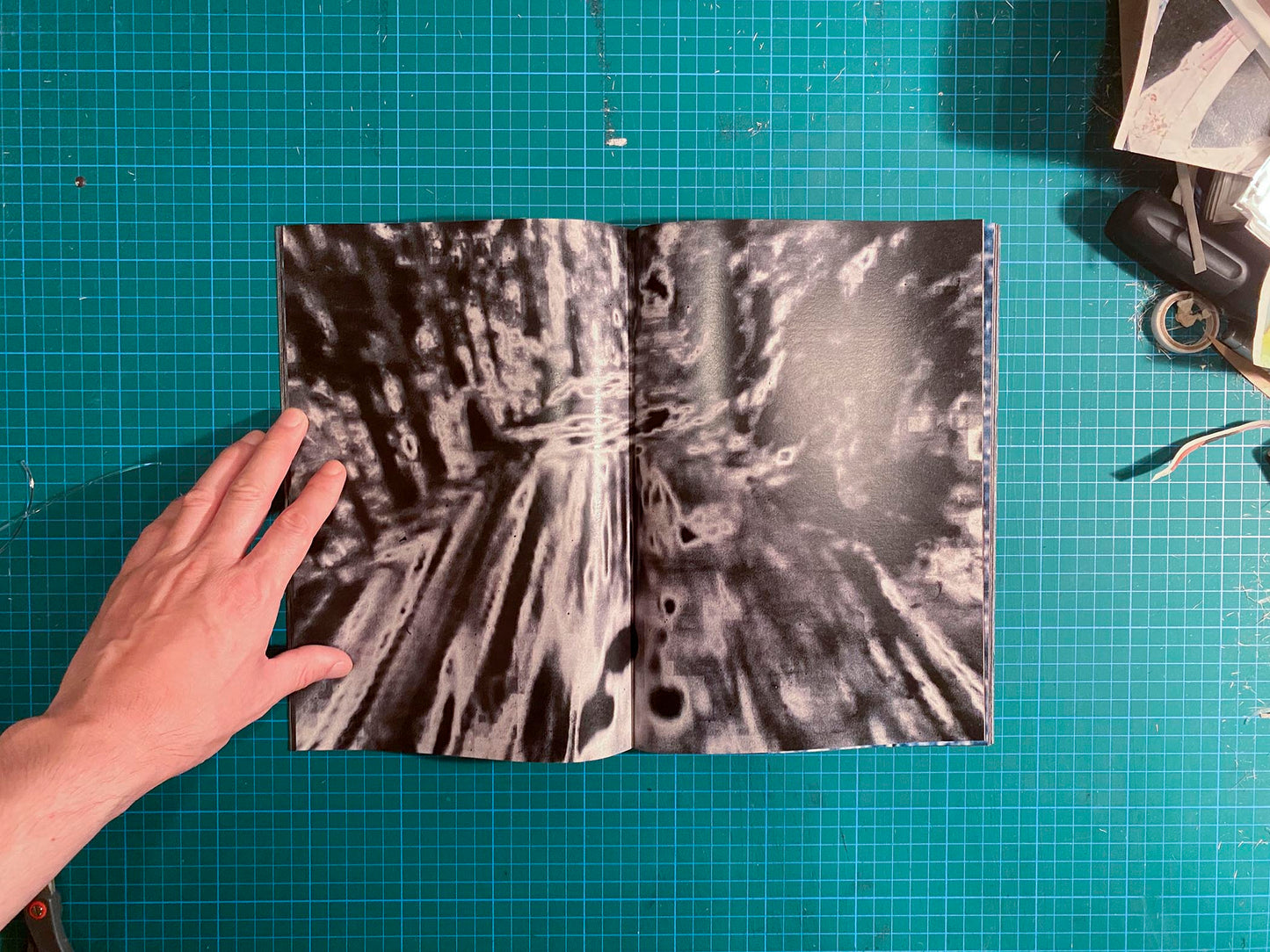 Room/Rabbit [Signed]