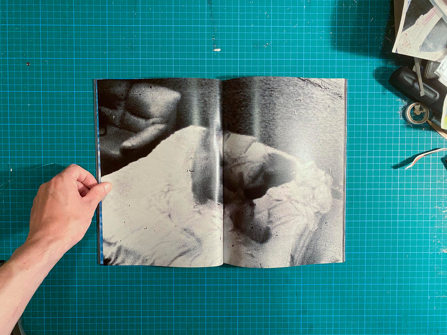 Room/Rabbit [Signed]