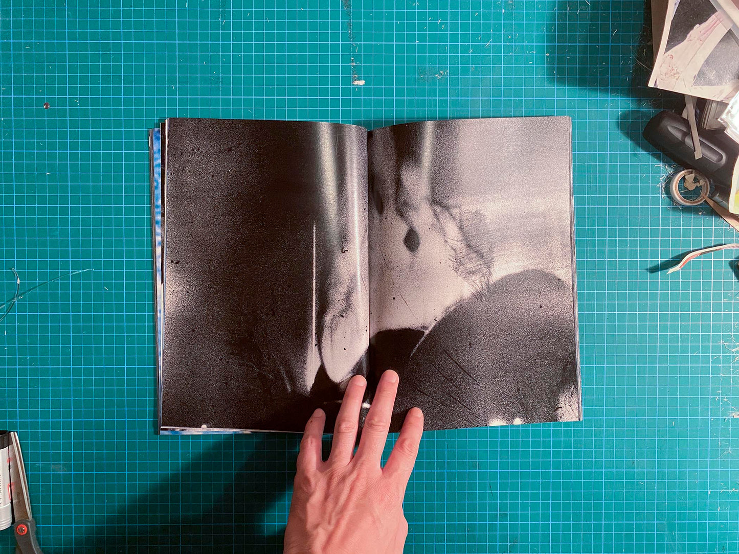 Room/Rabbit [Signed]