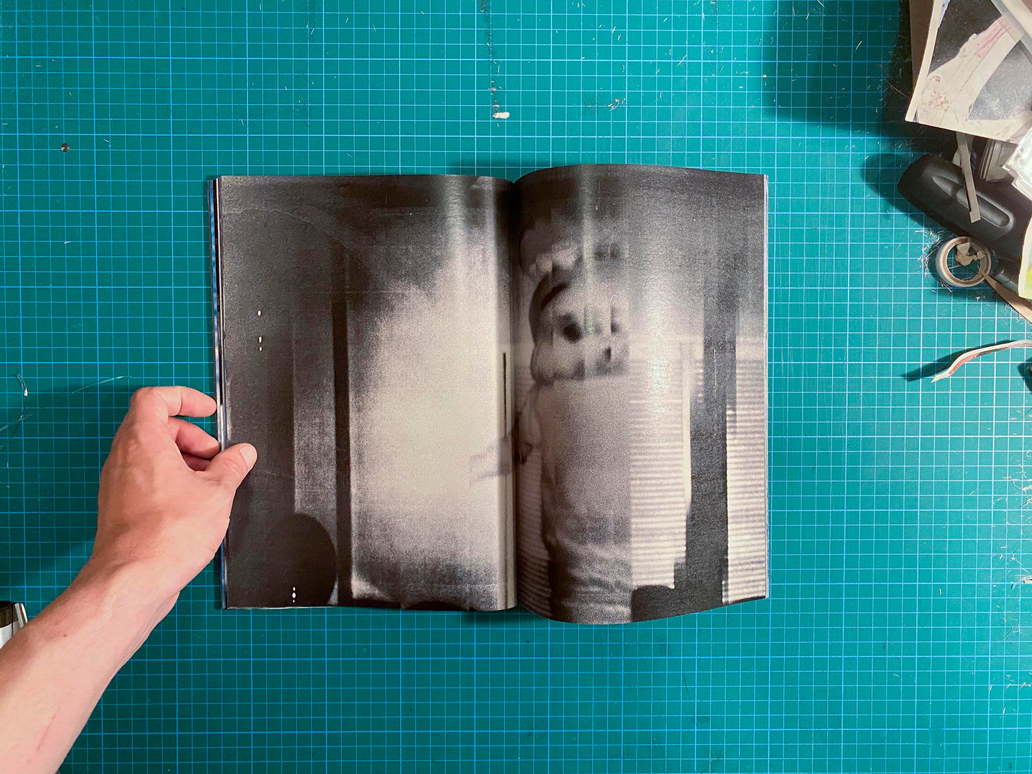 Room/Rabbit [Signed]