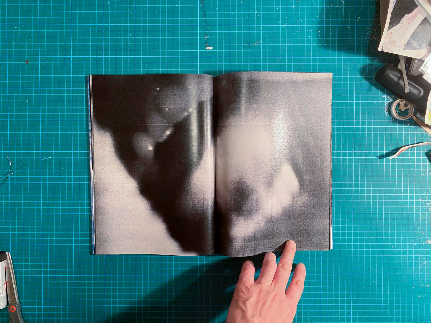 Room/Rabbit [Signed]