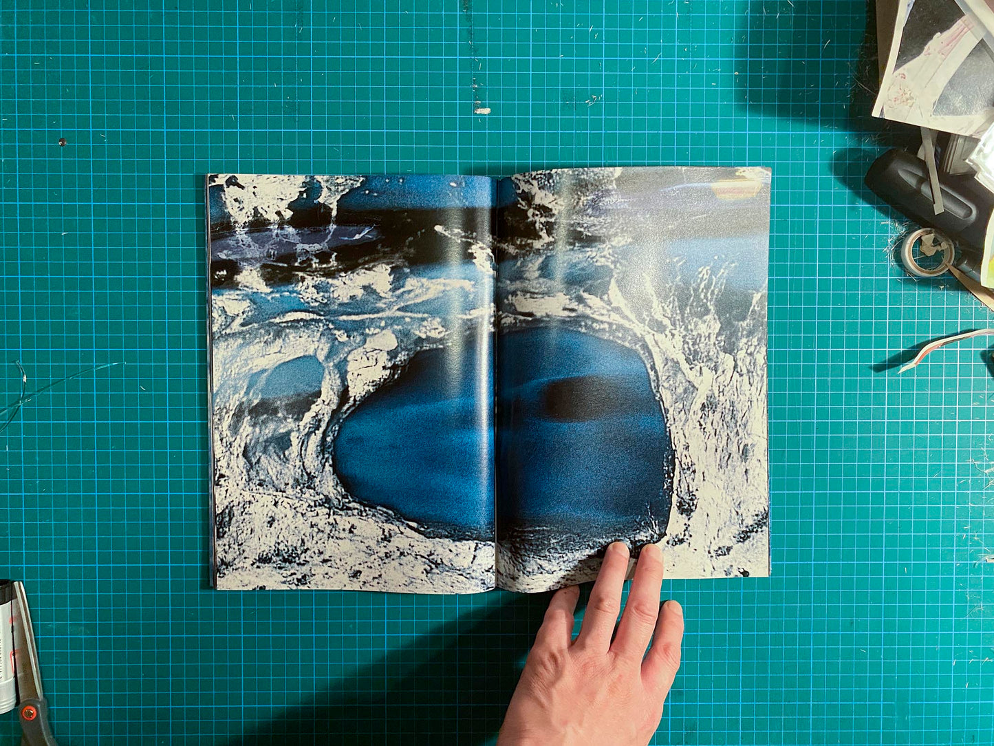 Room/Rabbit [Signed]
