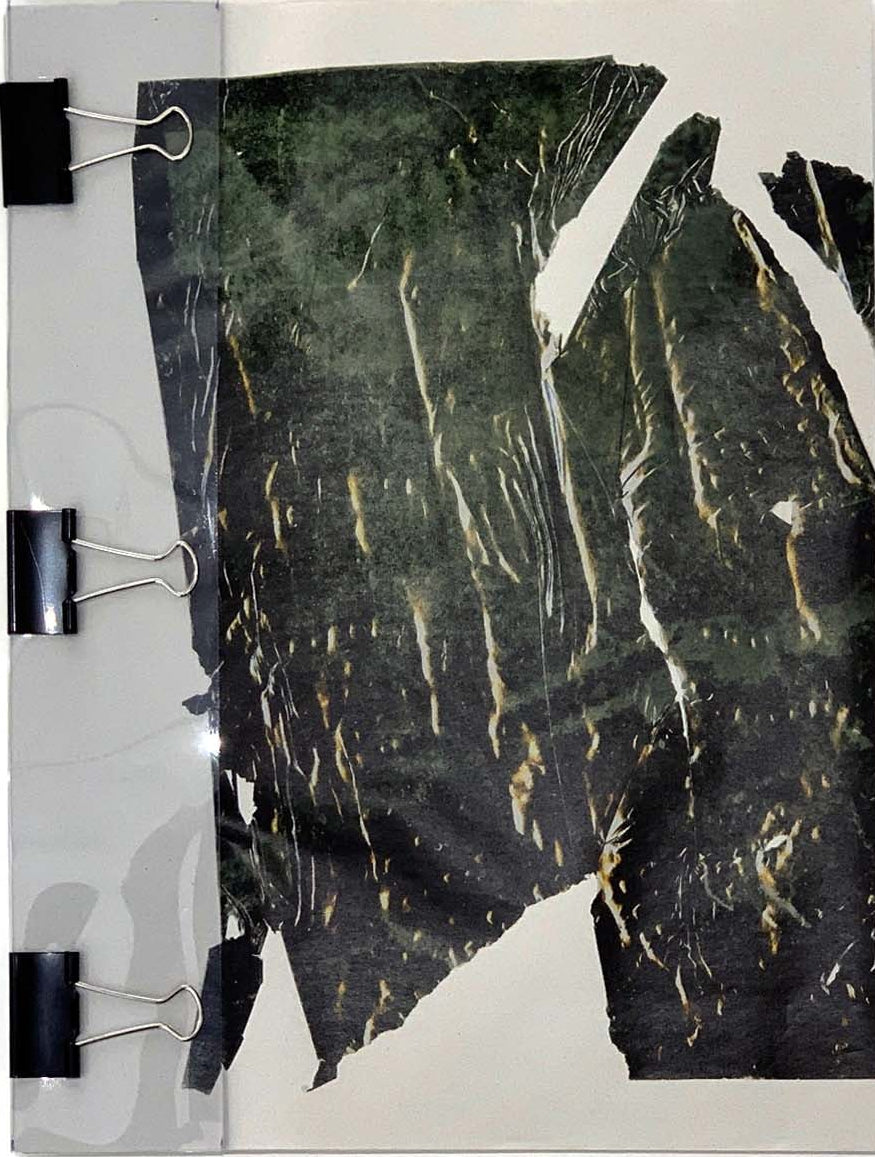 Film Signed by Daisuke Yokota
