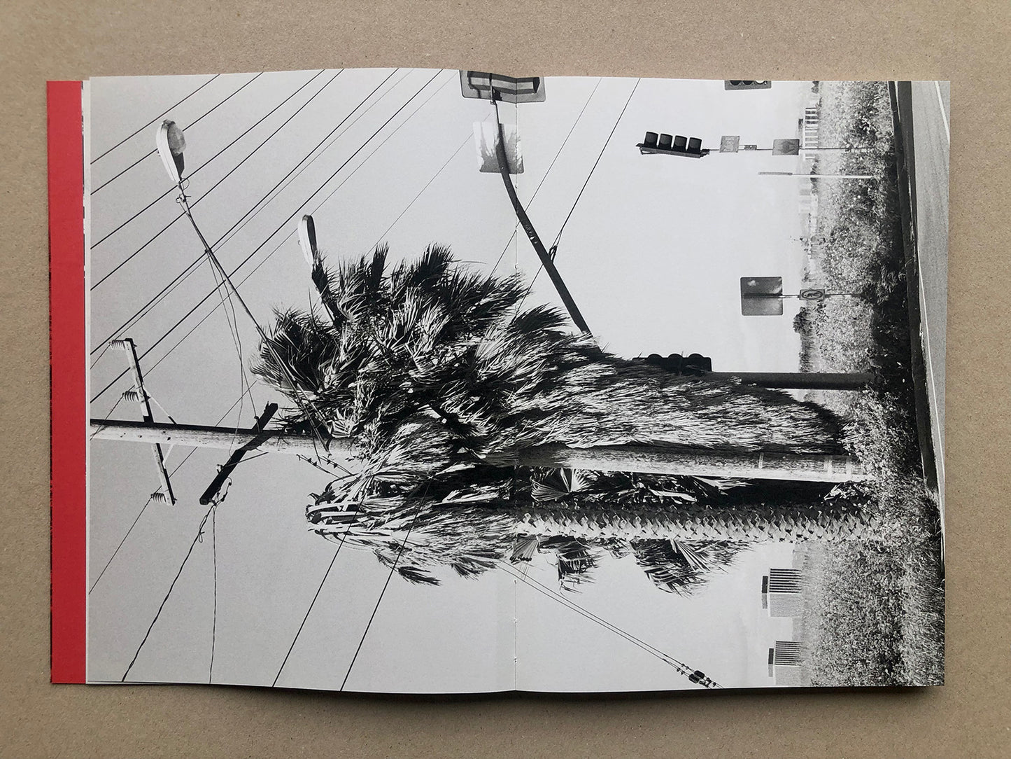 Walking Distance [Signed]