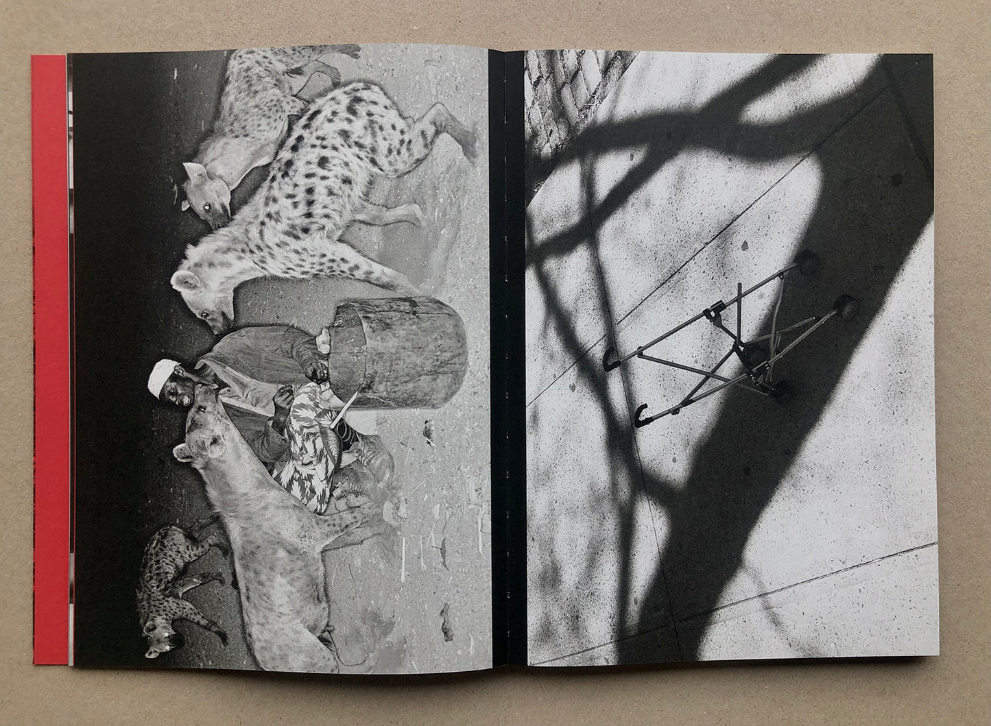 Walking Distance [Signed]