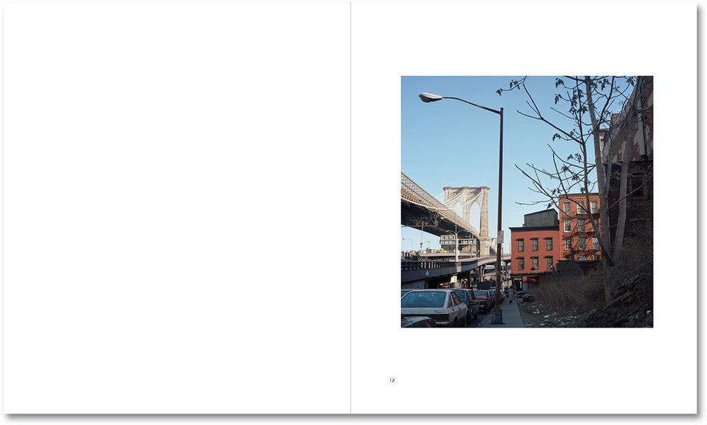 Red Eye to New York — Janet Delaney