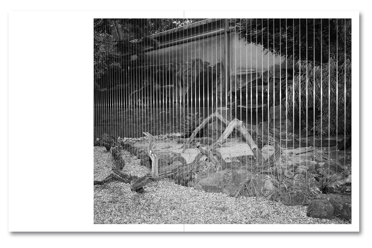 Stable Vices [Signed]
