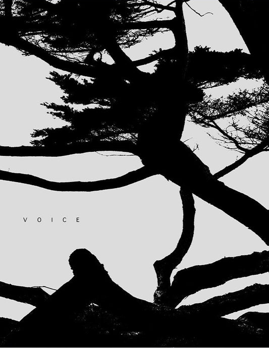 Voice by Jungjin Lee
