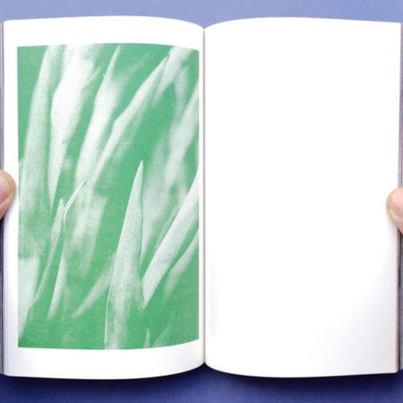 Landscapes by Lele Saveri [Signed]