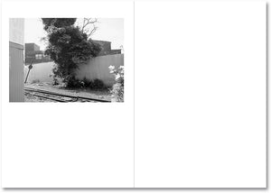 Somersault - signed