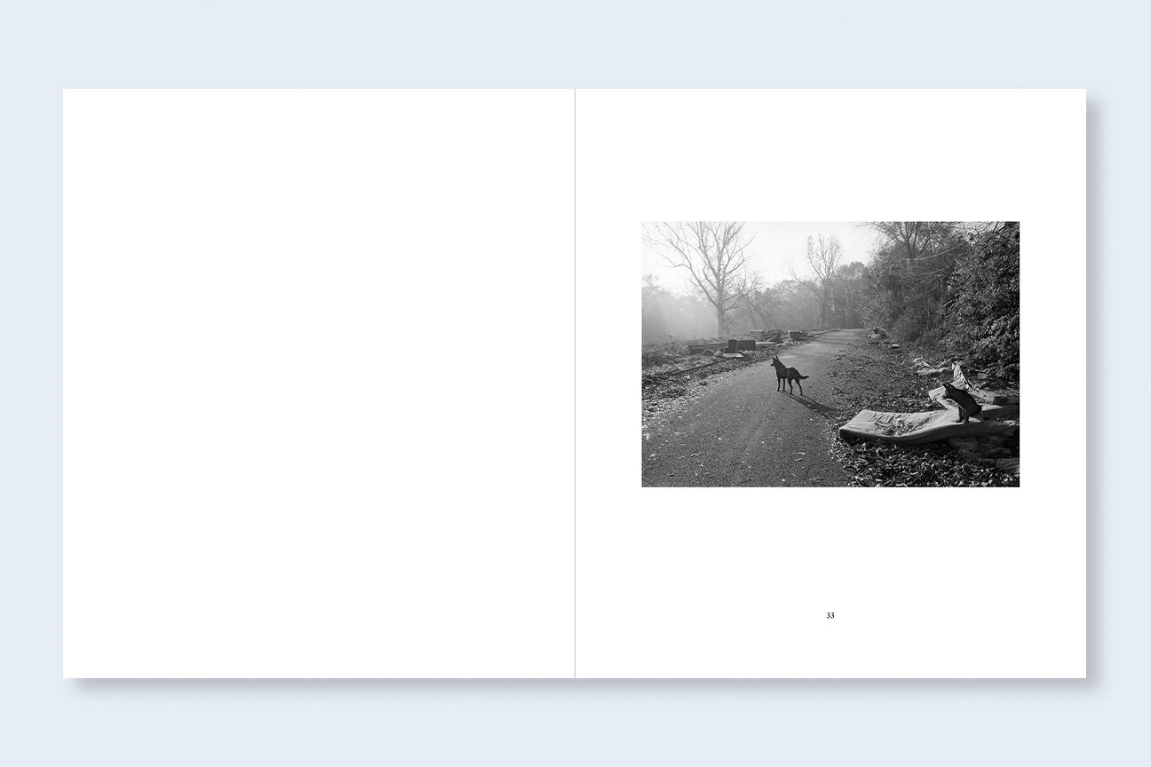 South East [Signed]