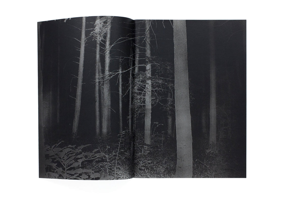 Back Yard [Signed]