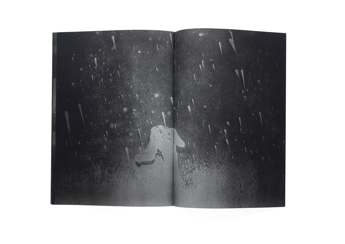 Back Yard [Signed]