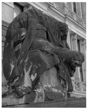 Vaterland