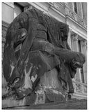 Vaterland